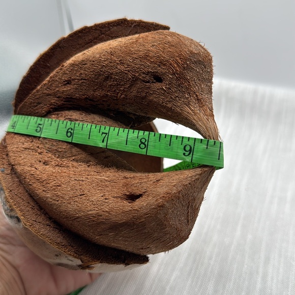 Coconut Shell hand carved love birds Planter or birdfeeder made from a coconut - Picture 5 of 5